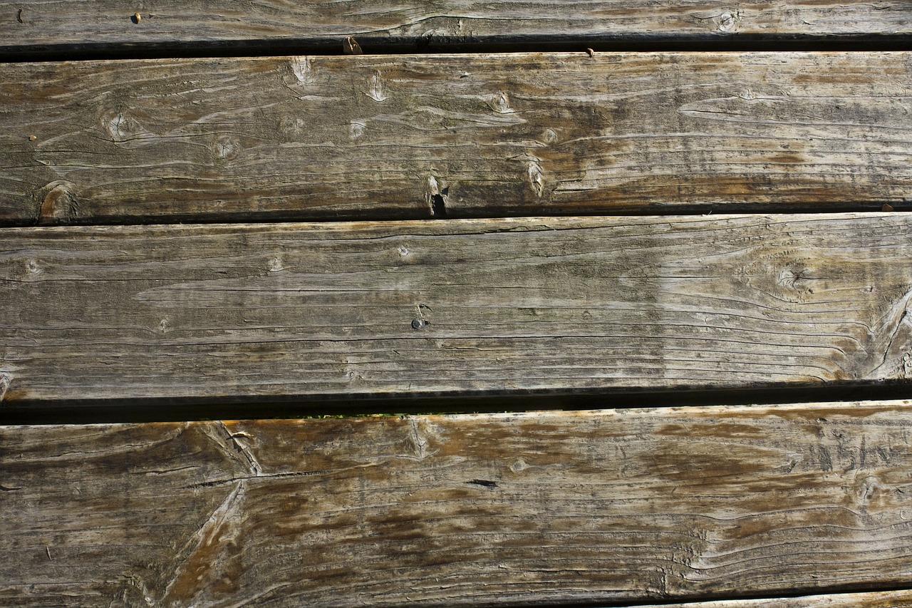 wood texture structure free photo