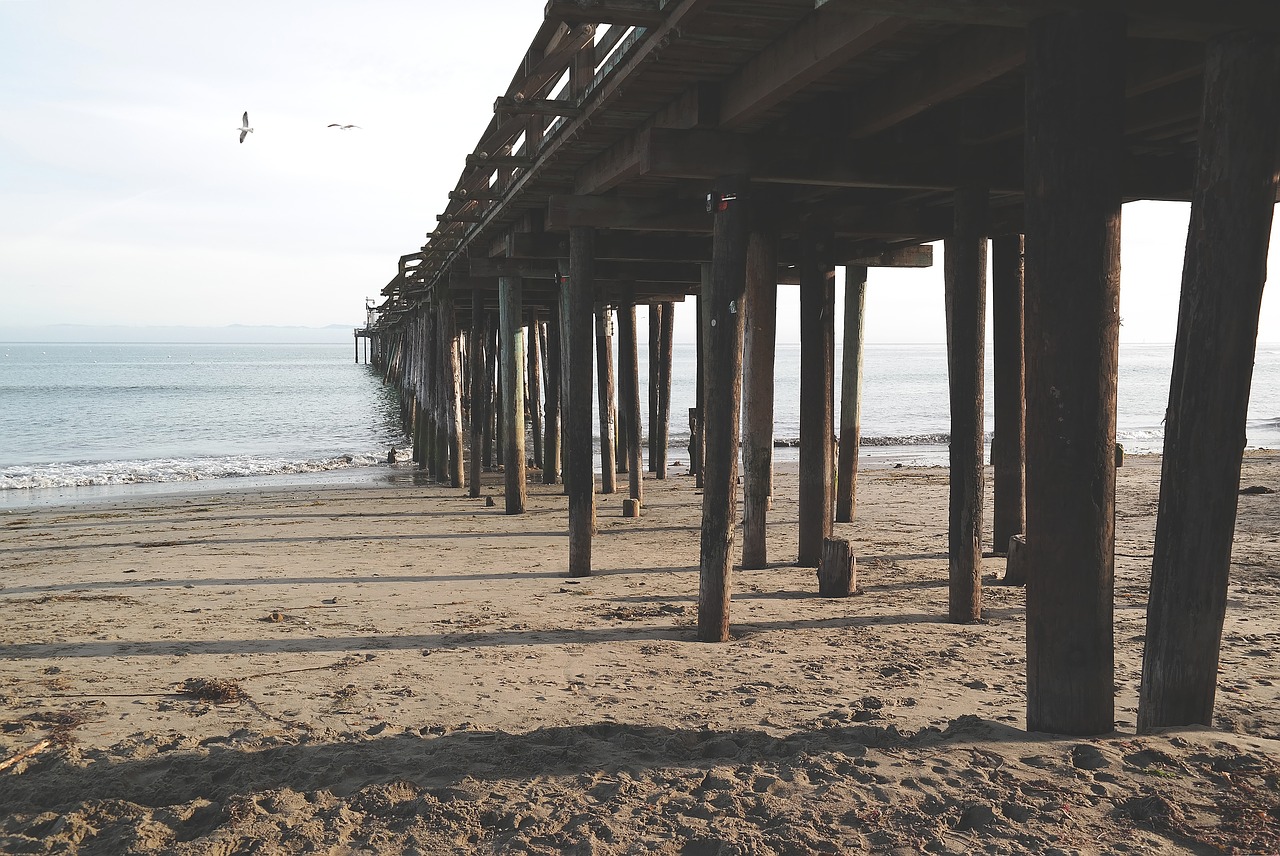 wood bridge structure free photo