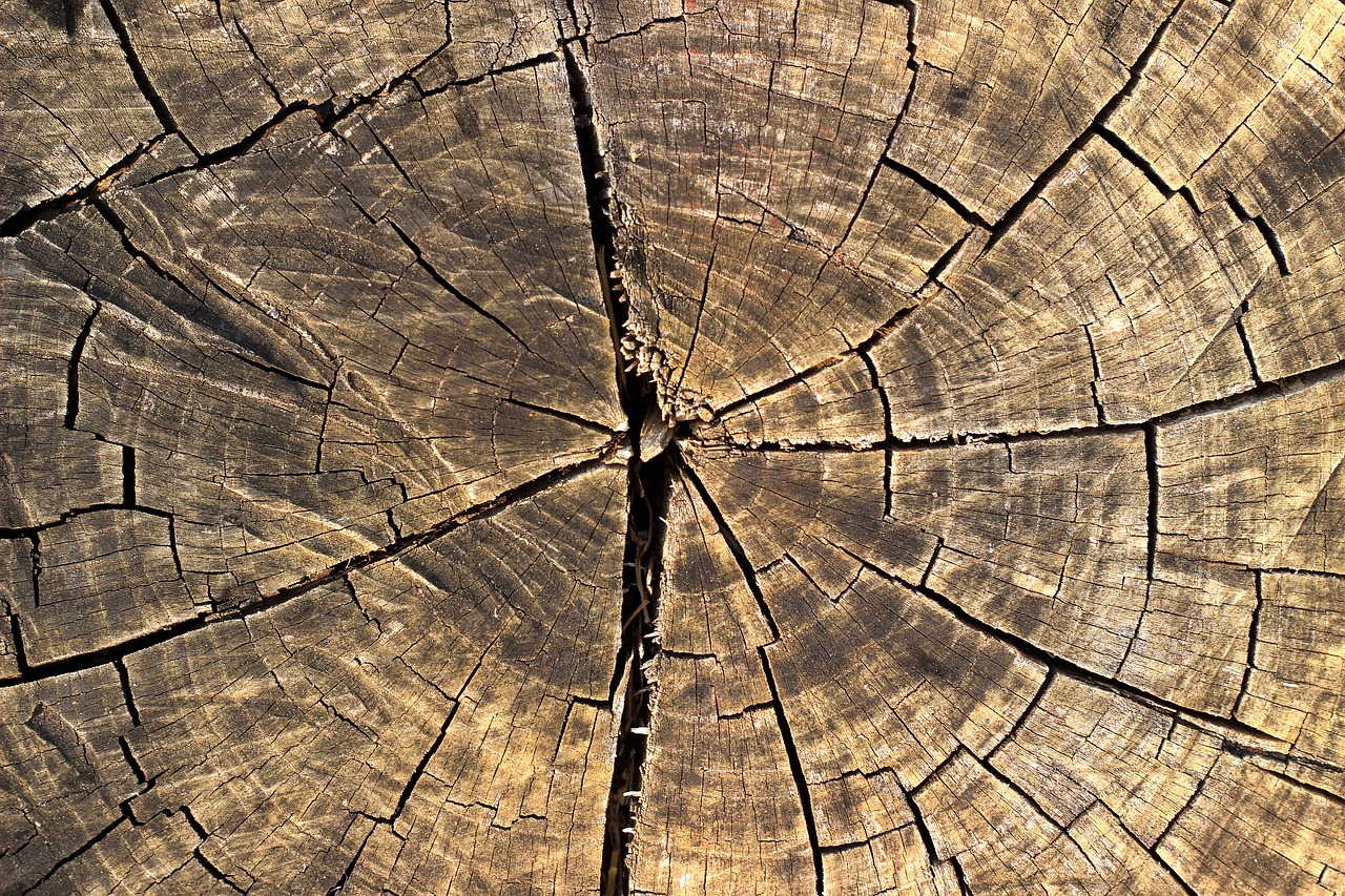 wood texture background free photo