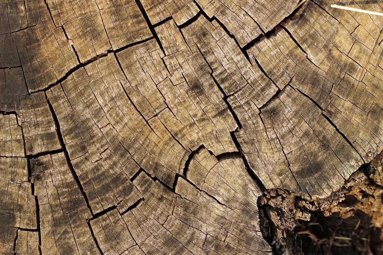 wood texture background free photo