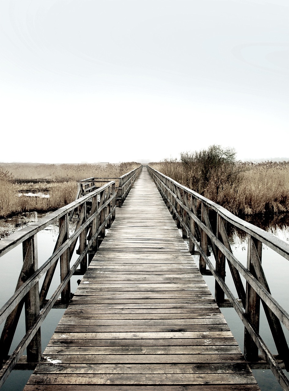 wood bridge rural free photo