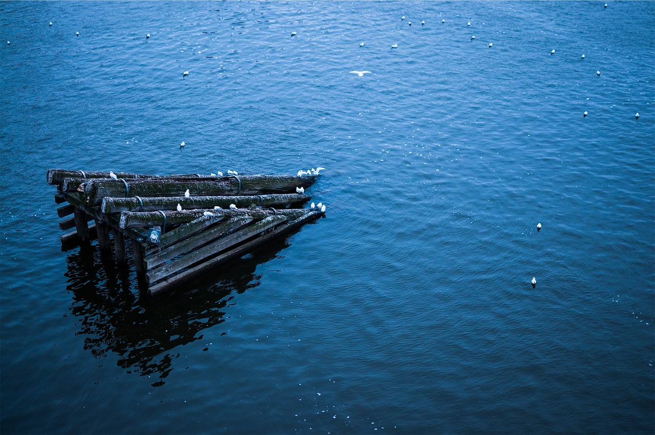 wood logs ramp free photo