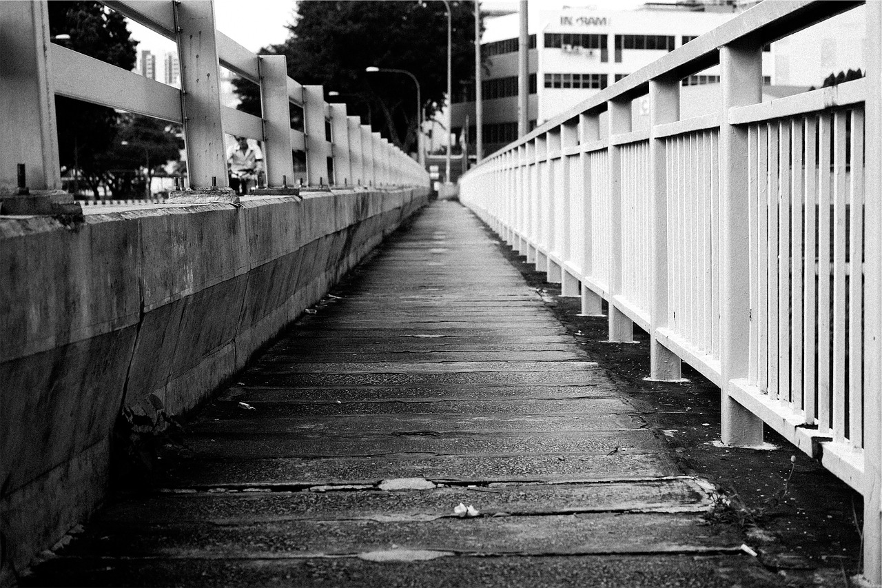 wood path railing free photo