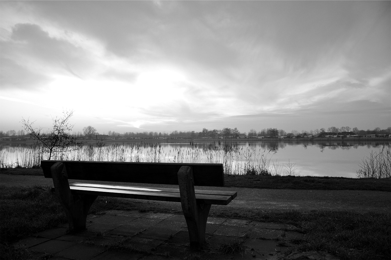 wood park bench free photo