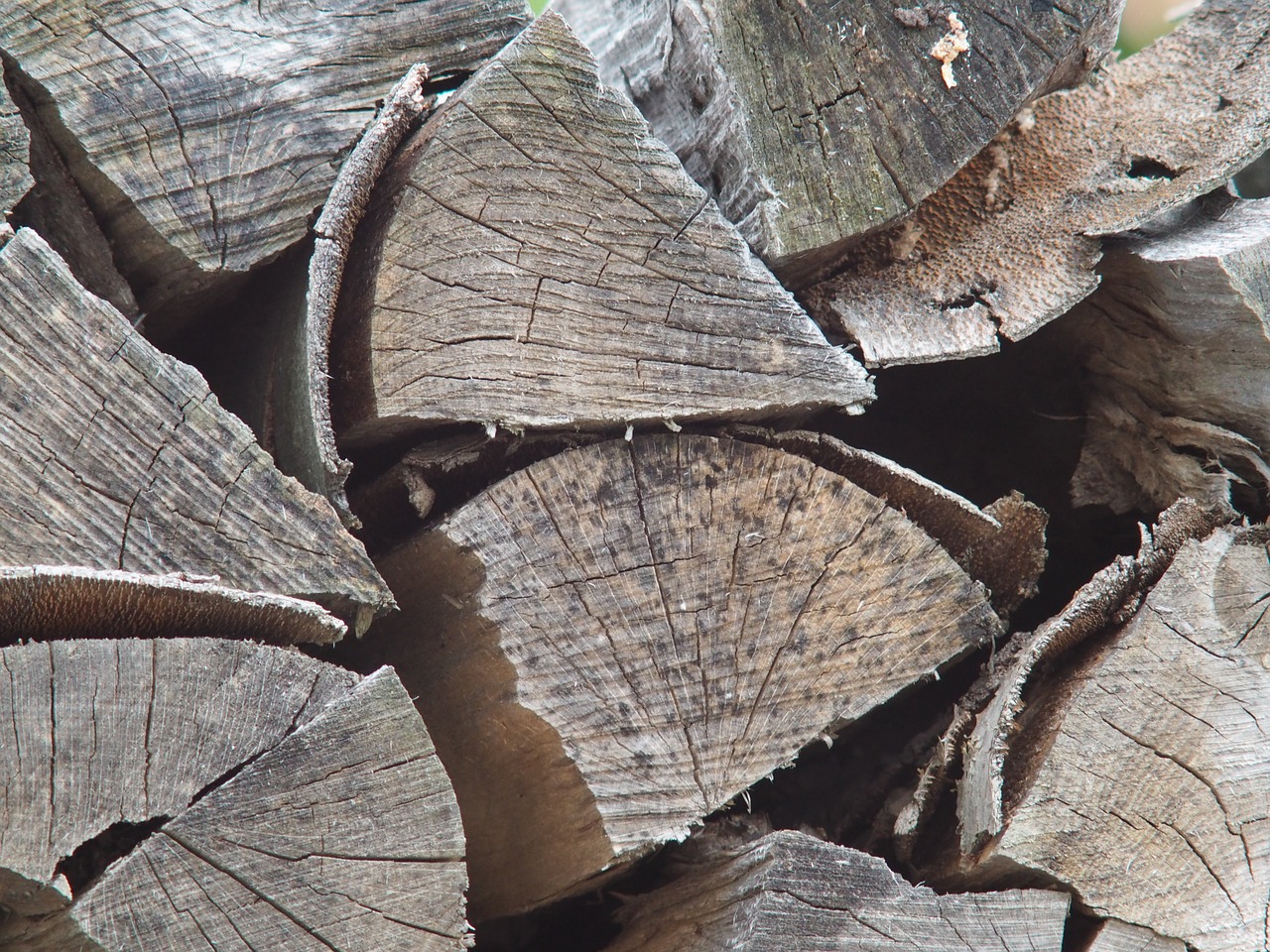 wood pile of wood firewood free photo