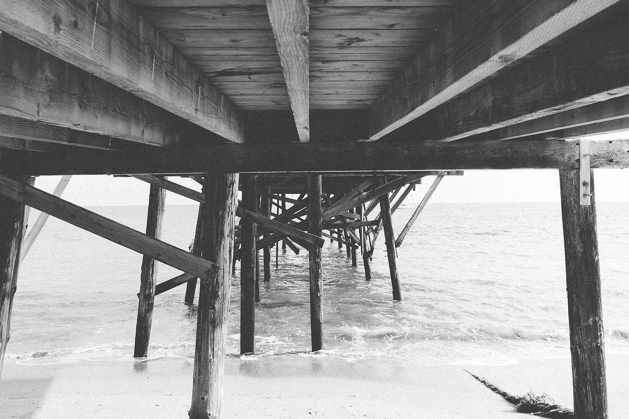 wood dock pier free photo