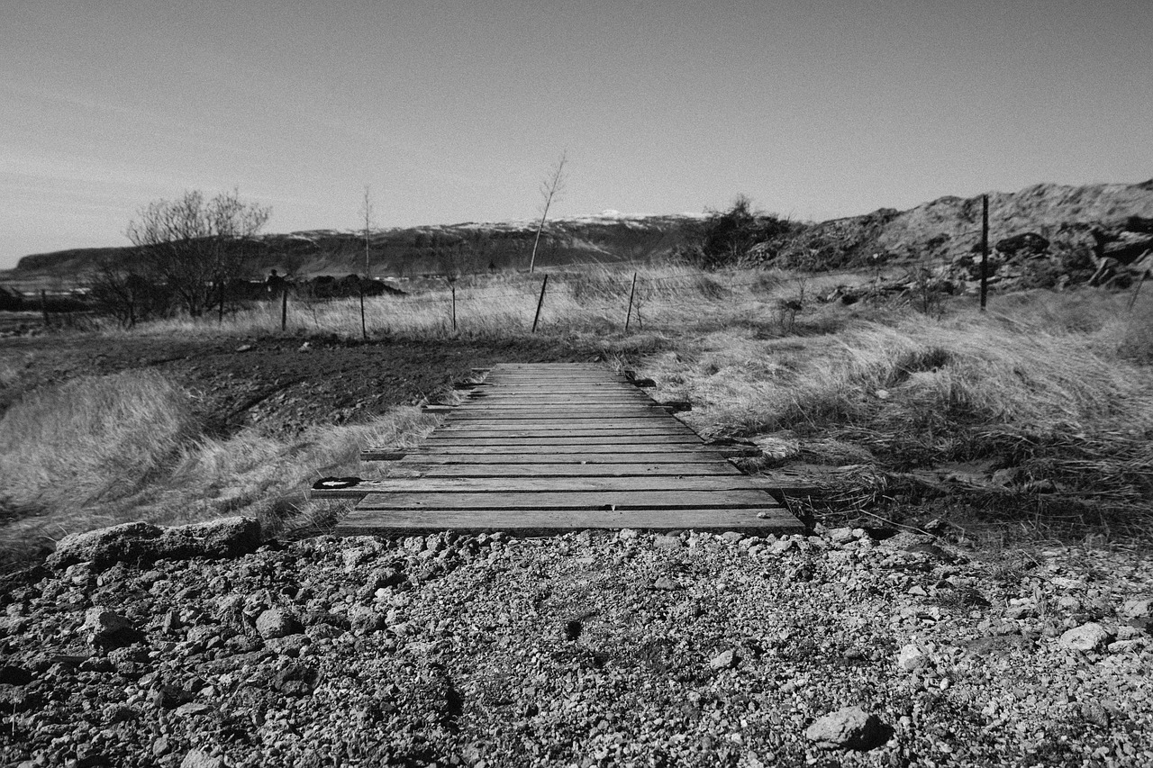 wood bridge rocks free photo