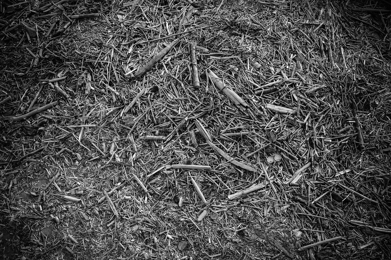 wood texture black and white free photo