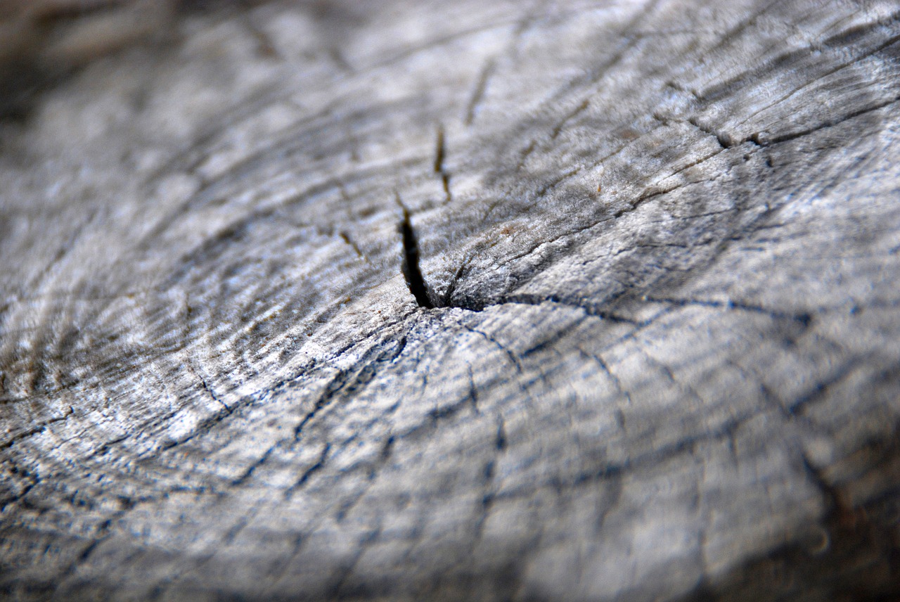 wood texture wooden free photo