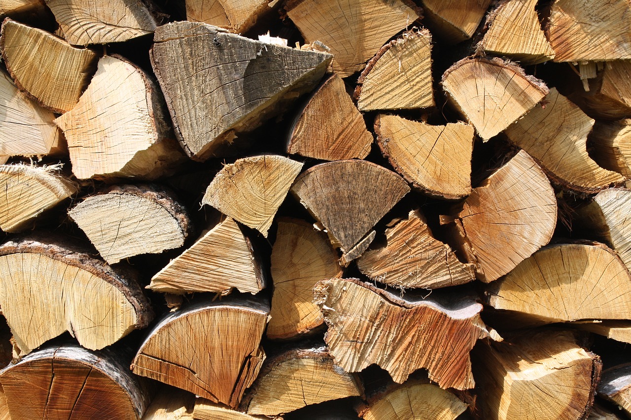 wood brown logs free photo