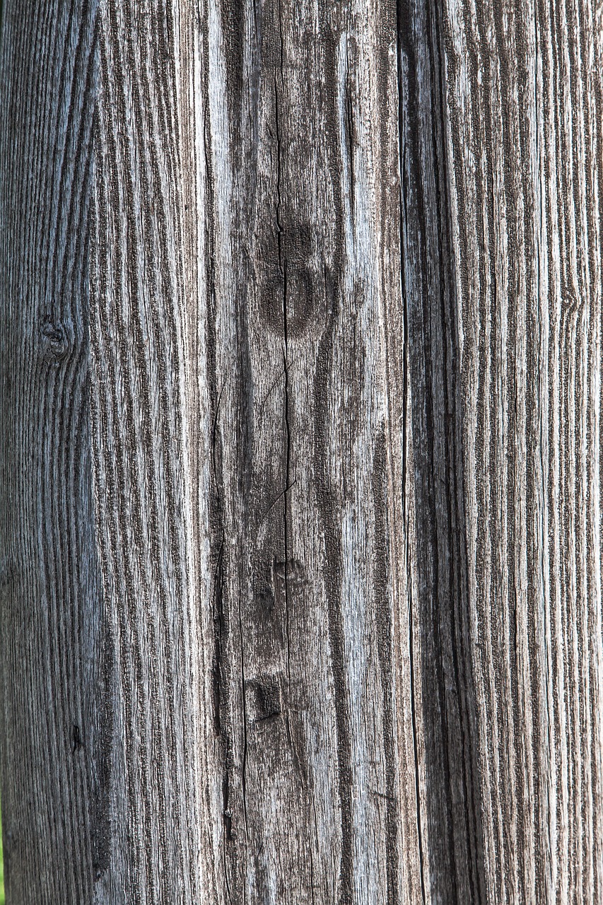 wood grain wood texture free photo