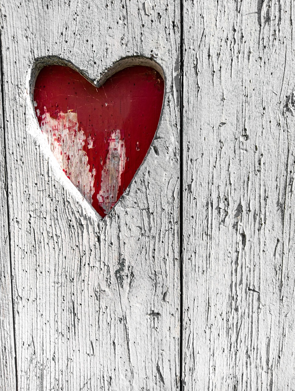 wood heart texture free photo