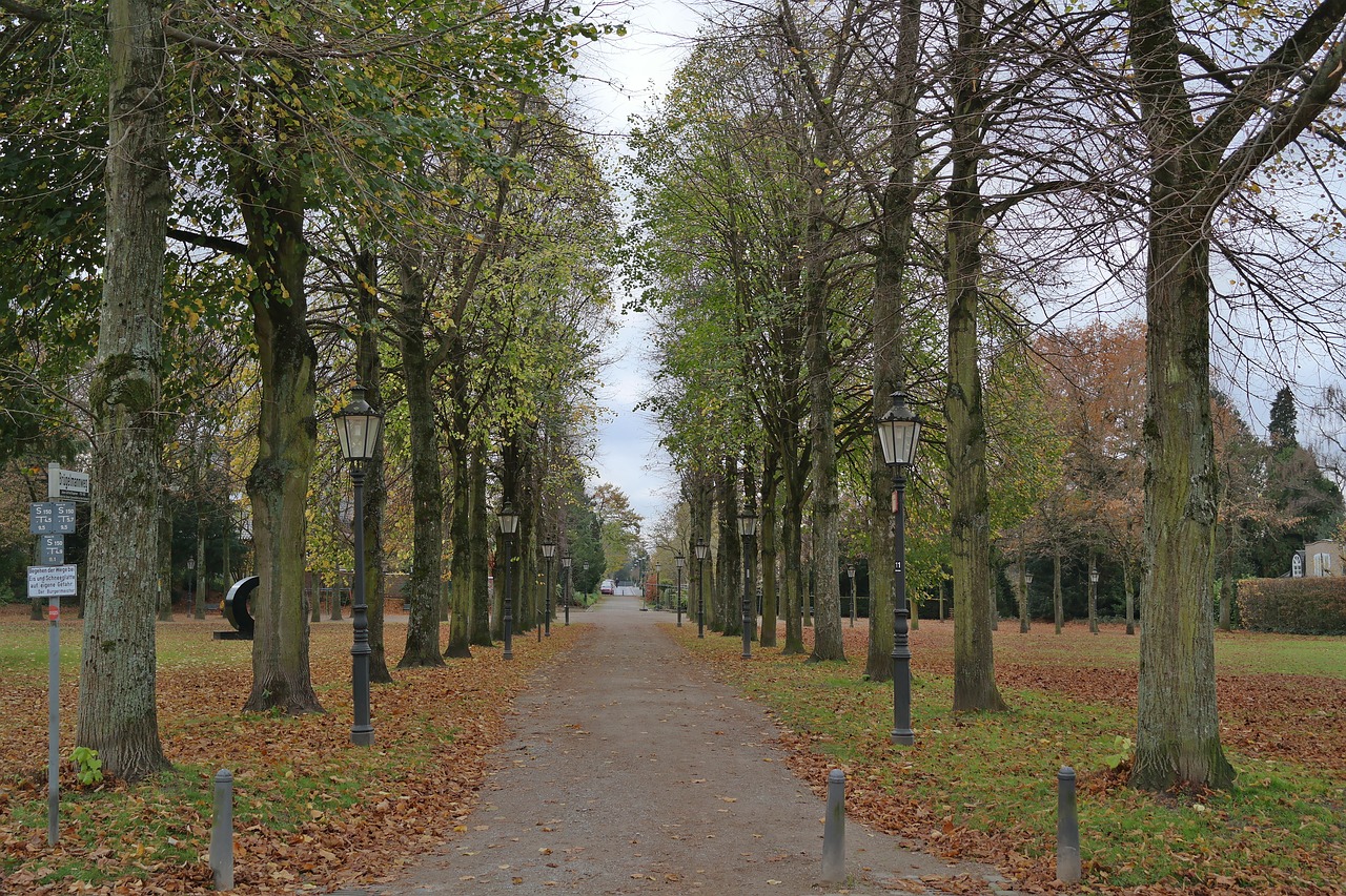 wood autumn park free photo