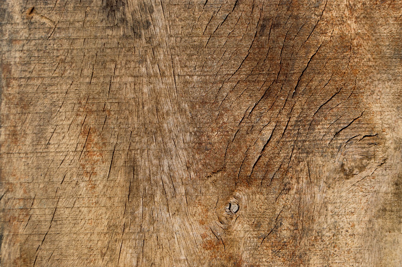 wood texture background free photo