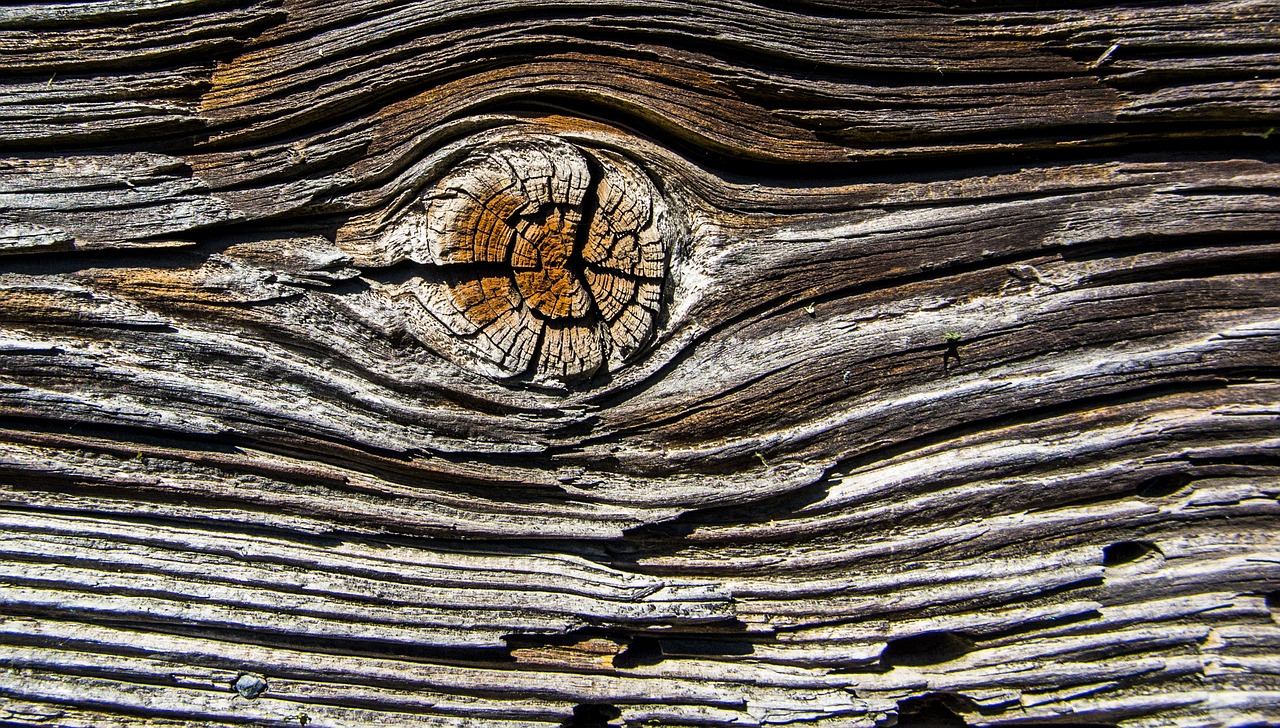 wood plank old free photo