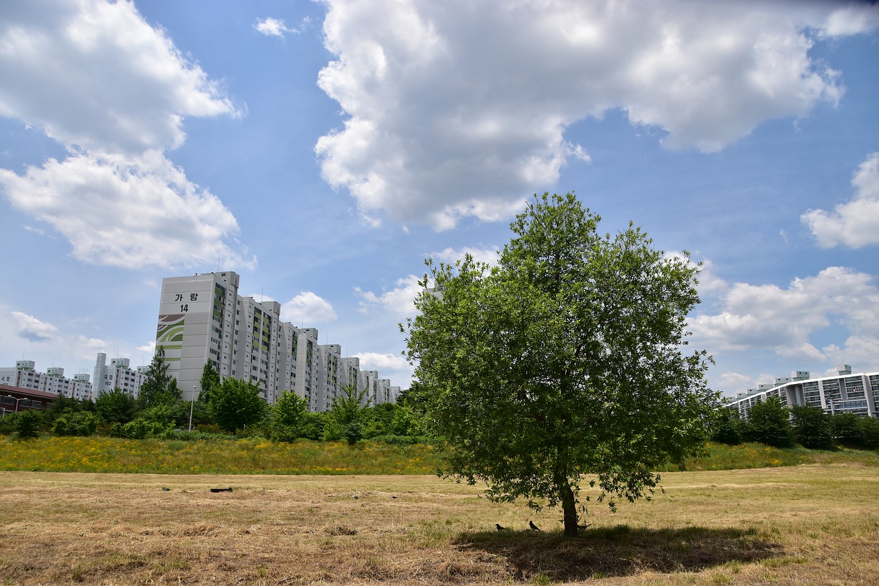 wood city cloud free photo