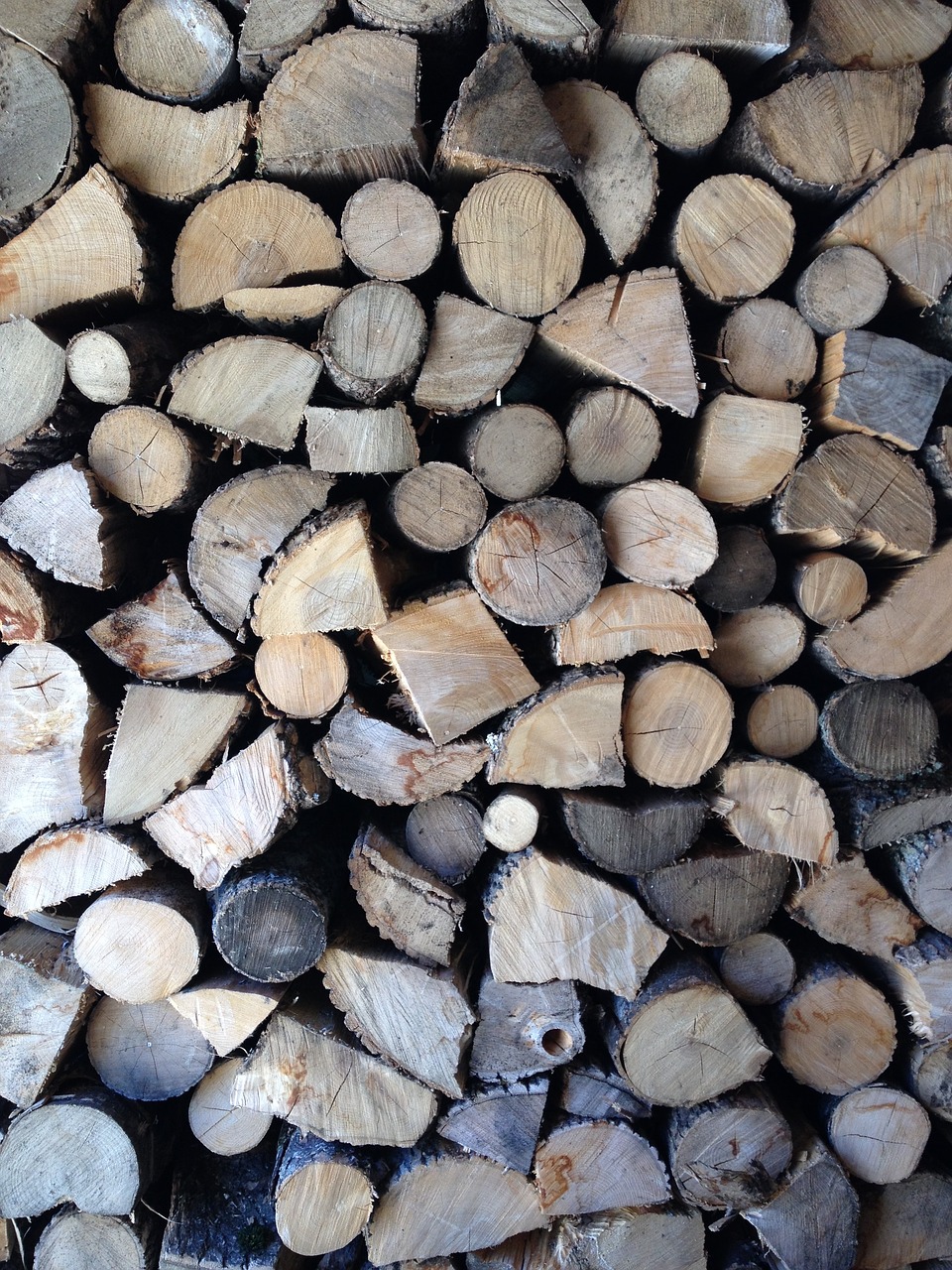 wood firewood nature free photo