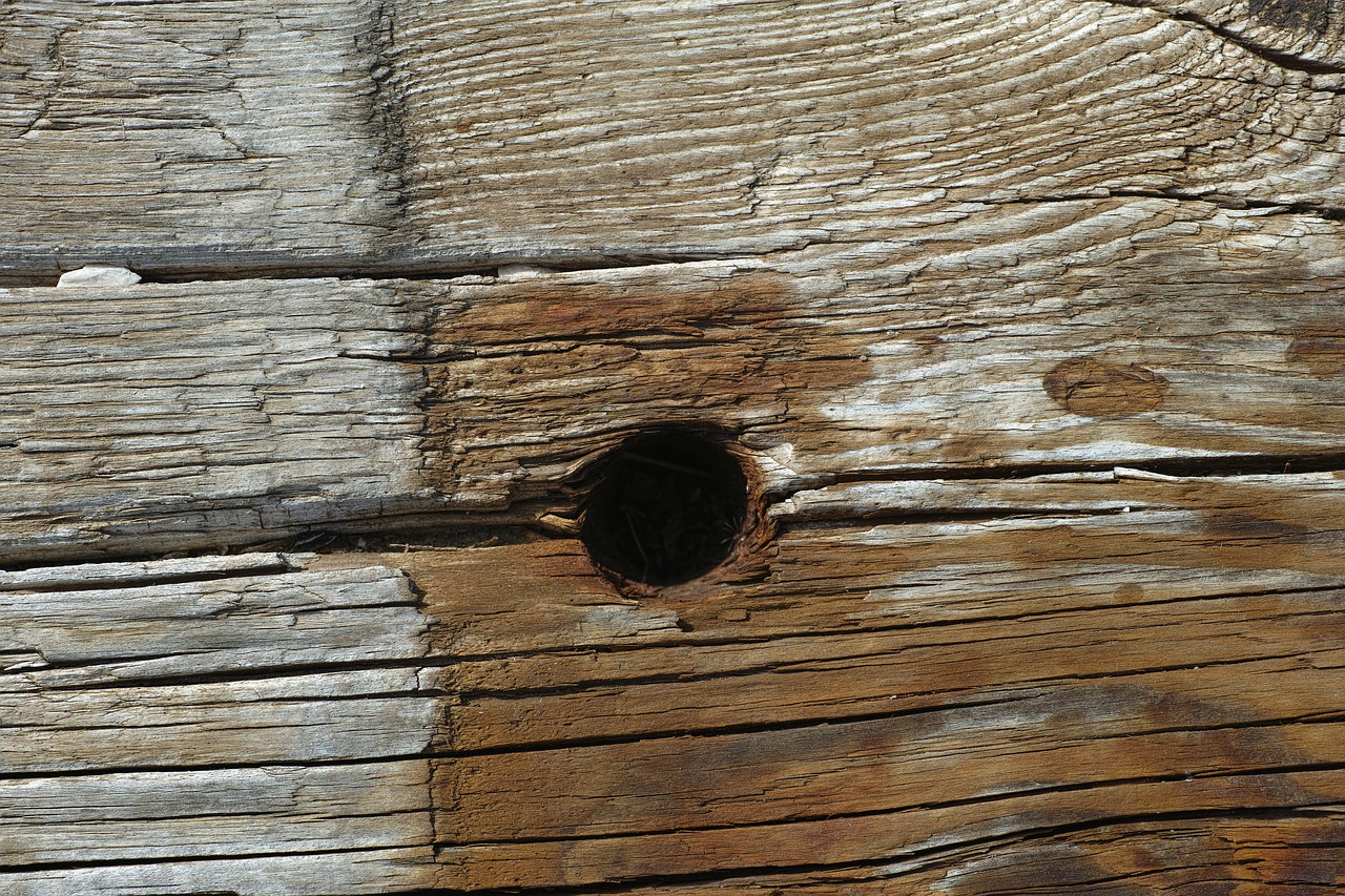 wood wood-fibre boards parquet free photo