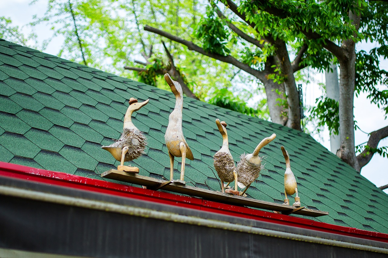 wood duck doll free photo