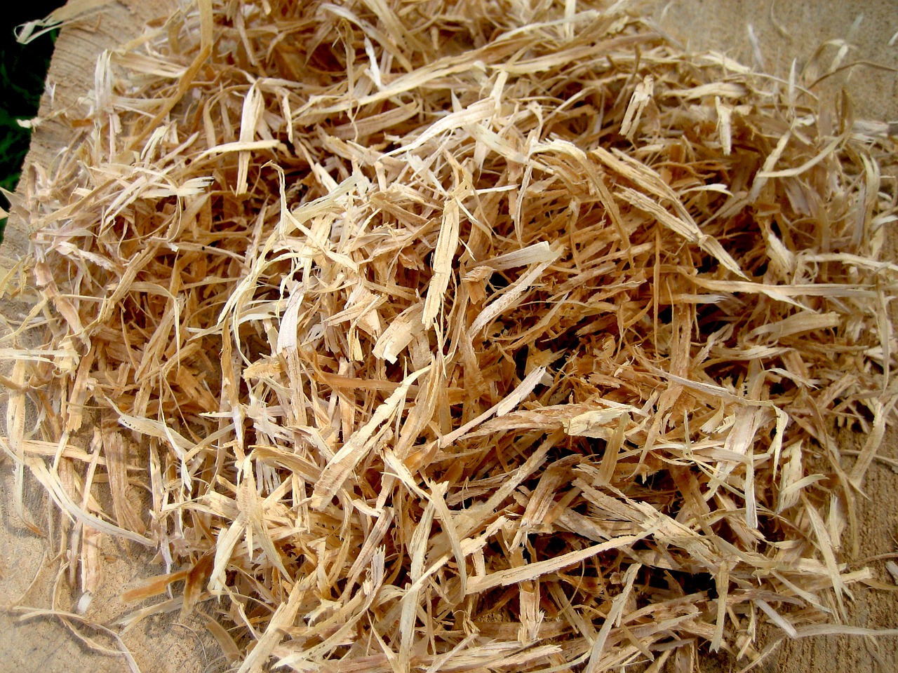 wood wood chips chips free photo