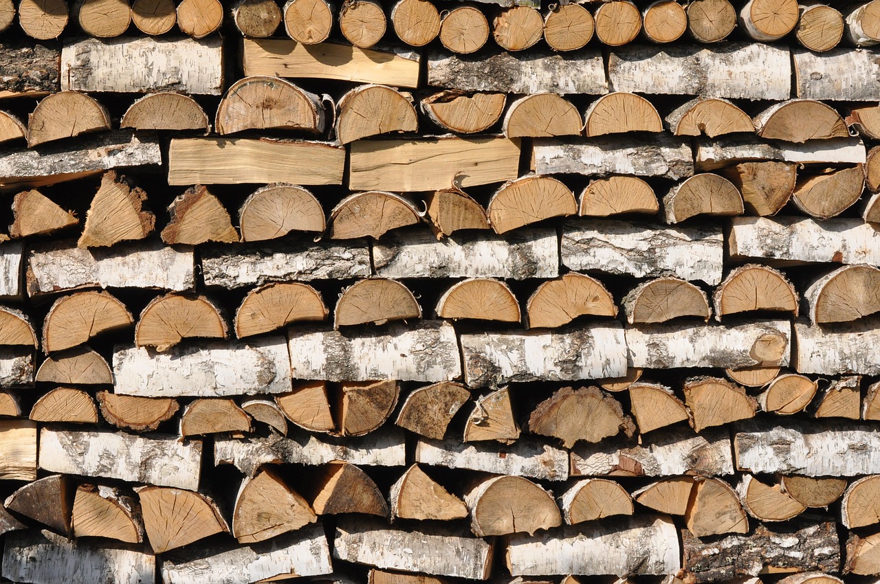 wood logs fuel free photo