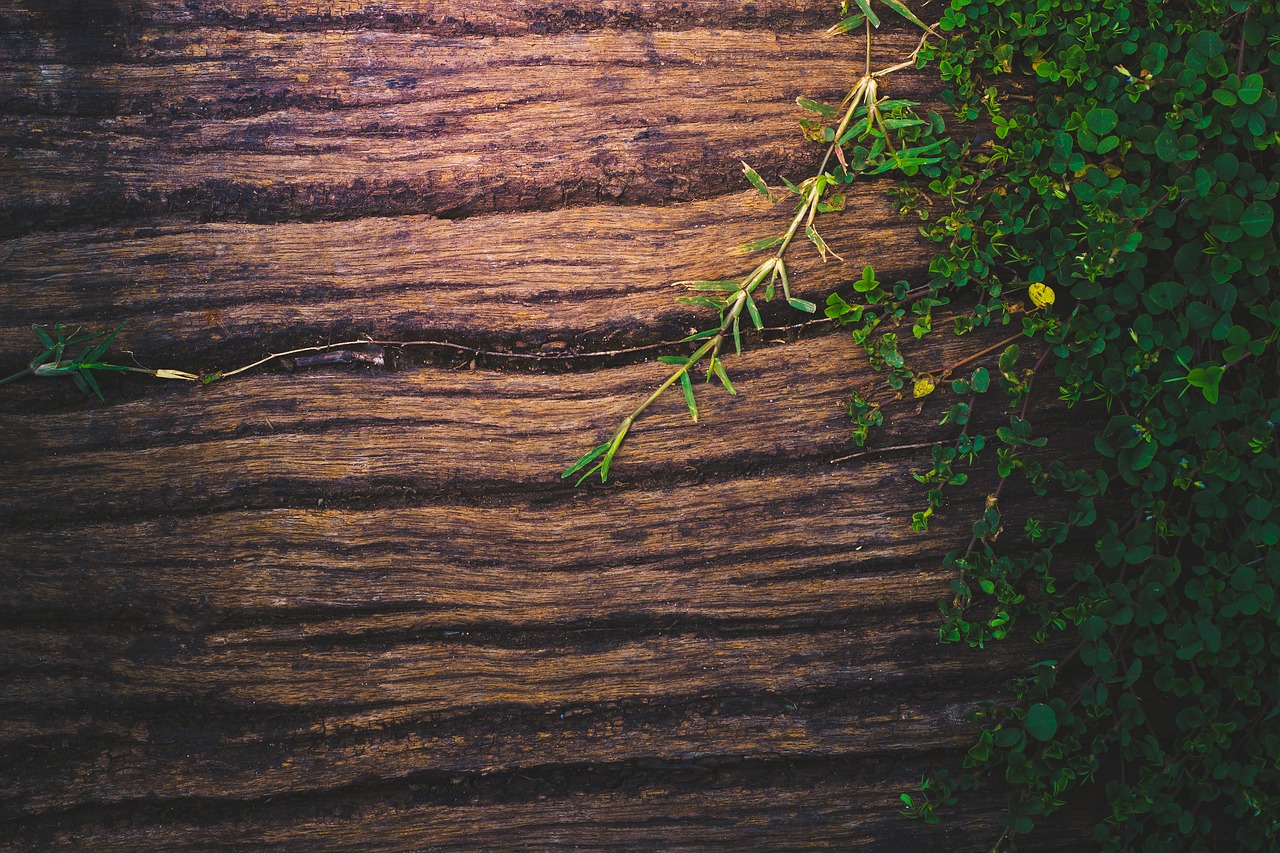 wood background wooden free photo