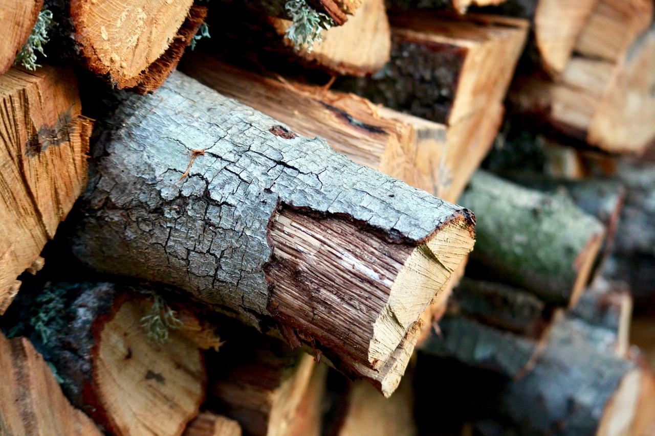 wood firewood winter free photo