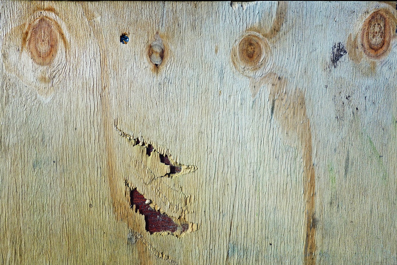 wood board grain free photo