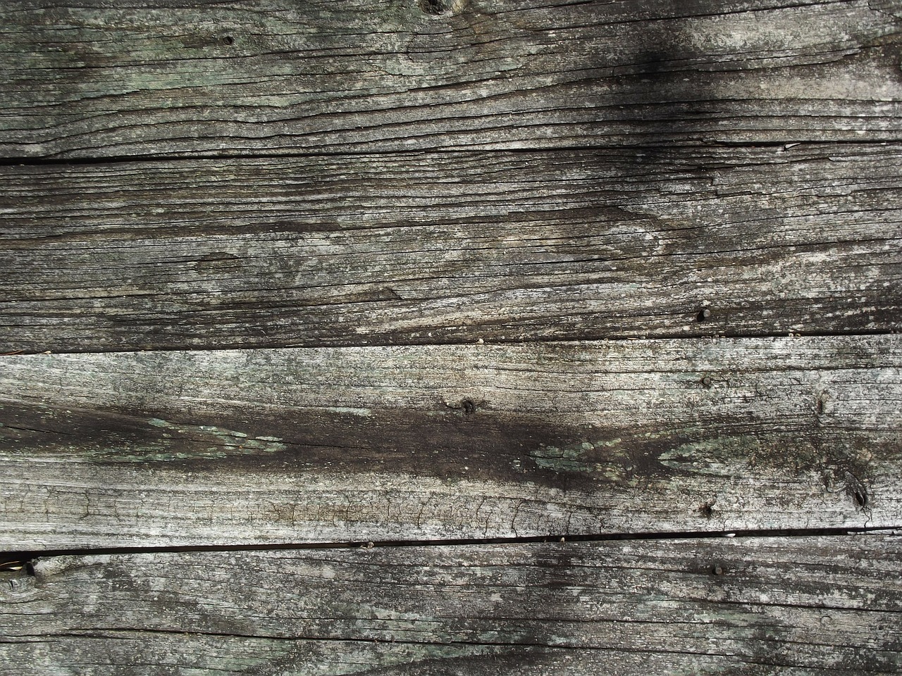 wood texture wood texture free photo