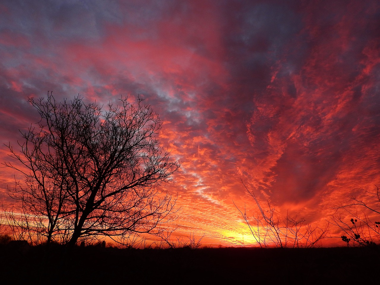 wood landscape sunset free photo