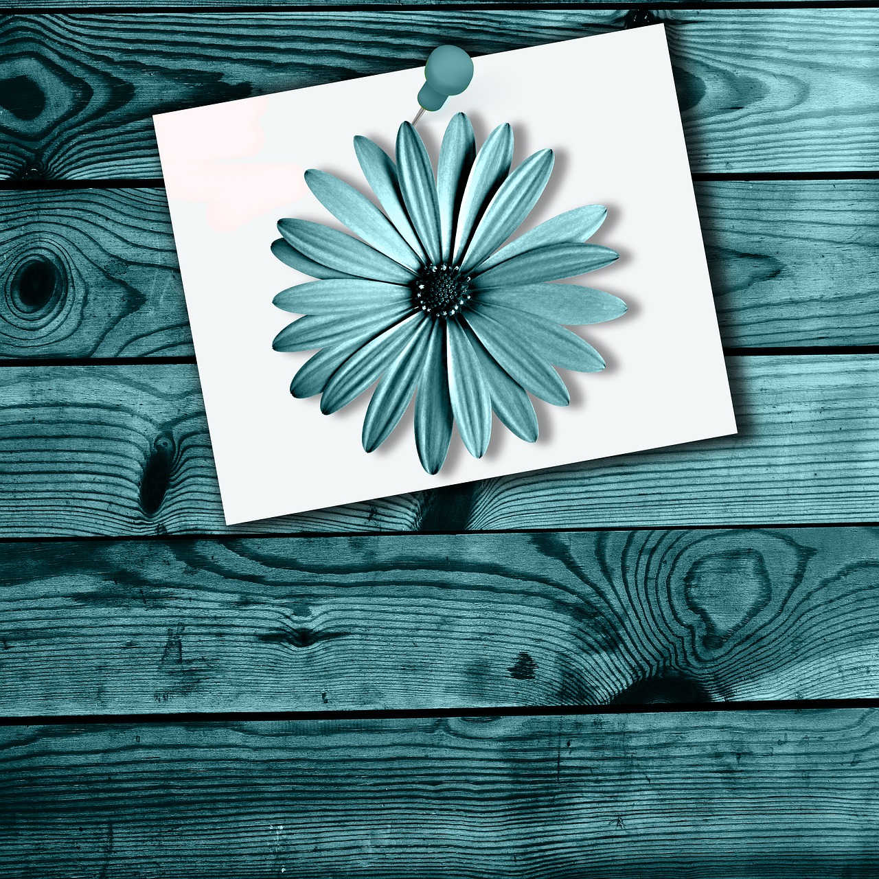 wood poster flower free photo
