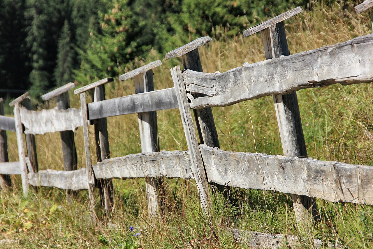 wood fence nature free photo