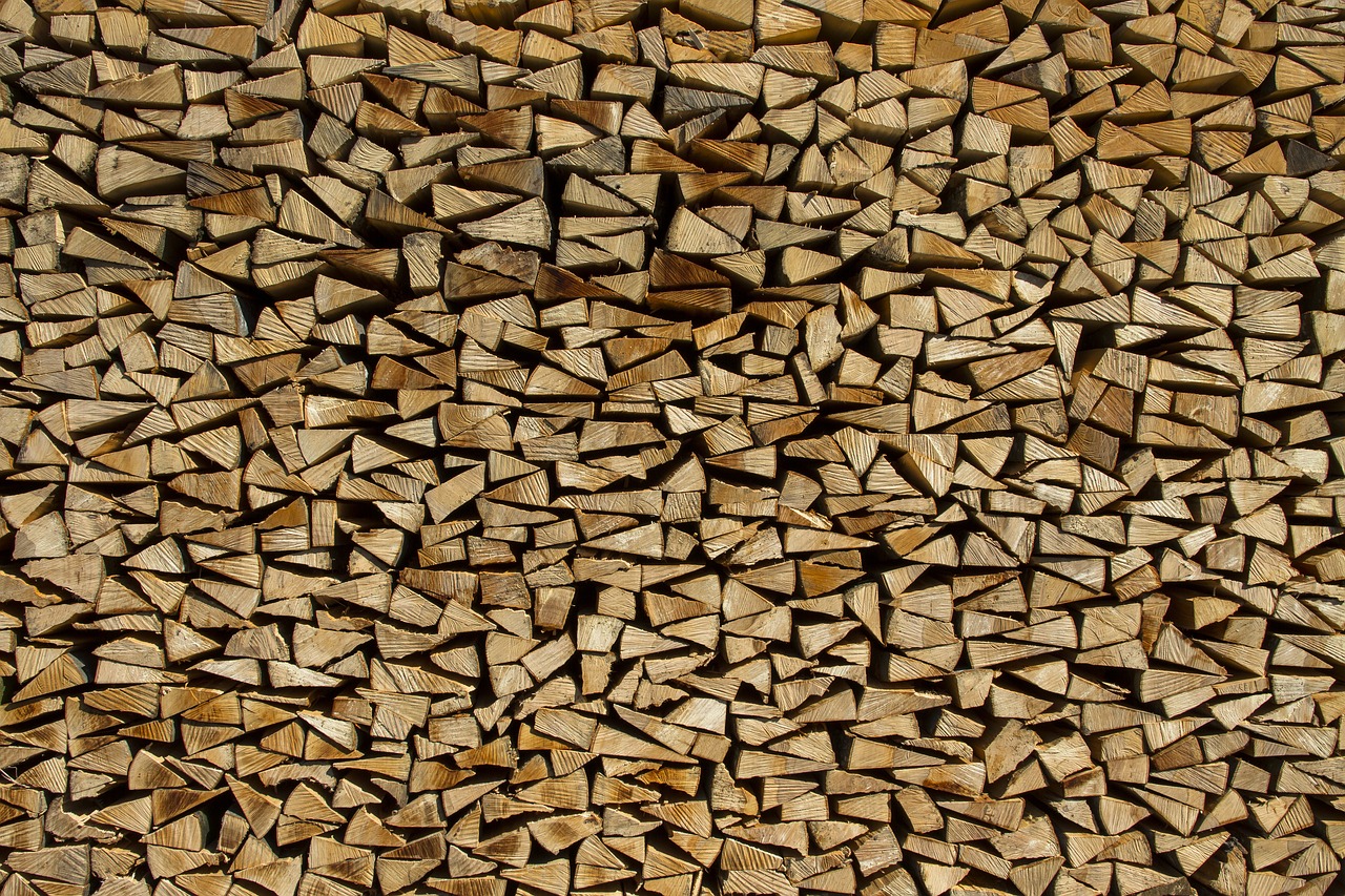 wood holzstapel growing stock free photo