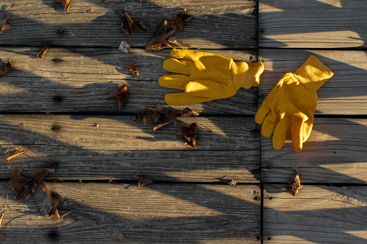 wood wooden nature free photo