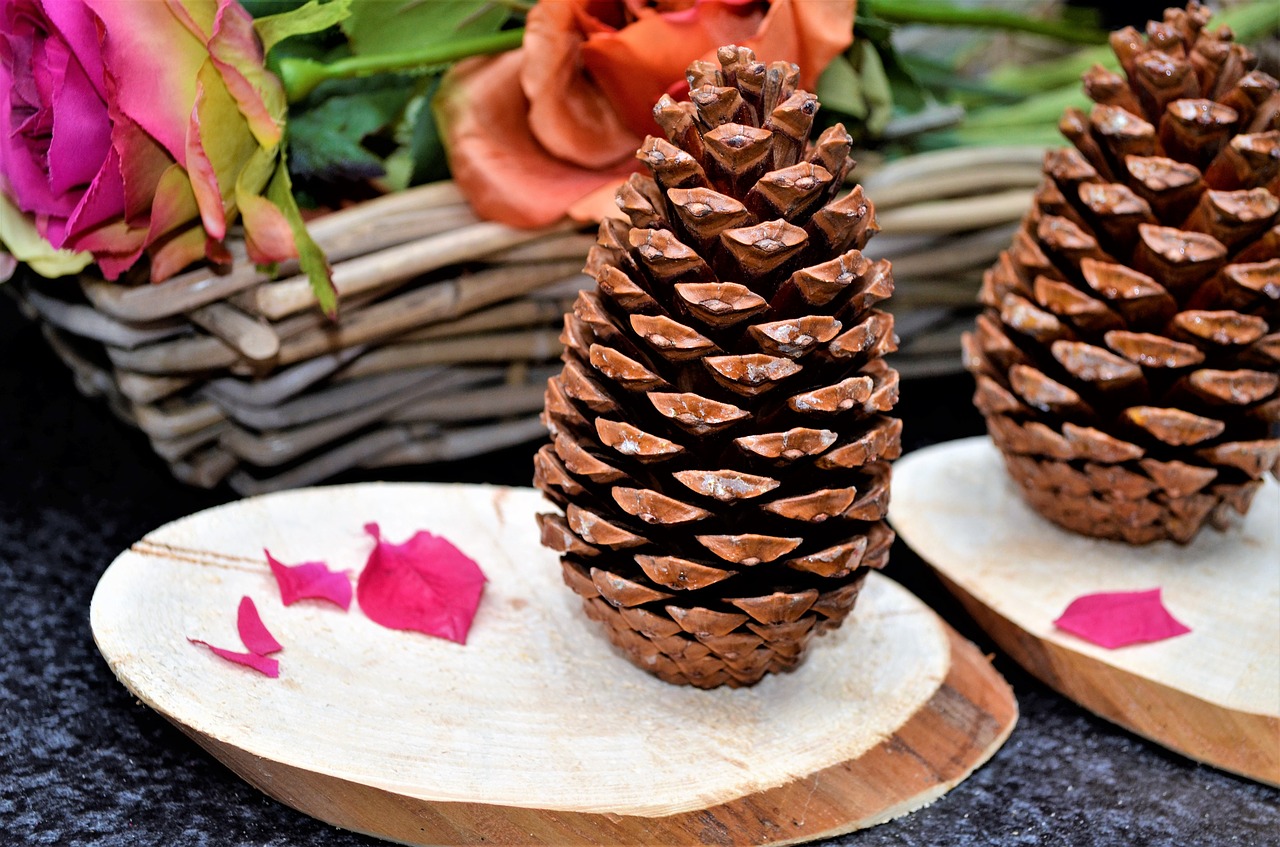 wood pinecone tinkering free photo