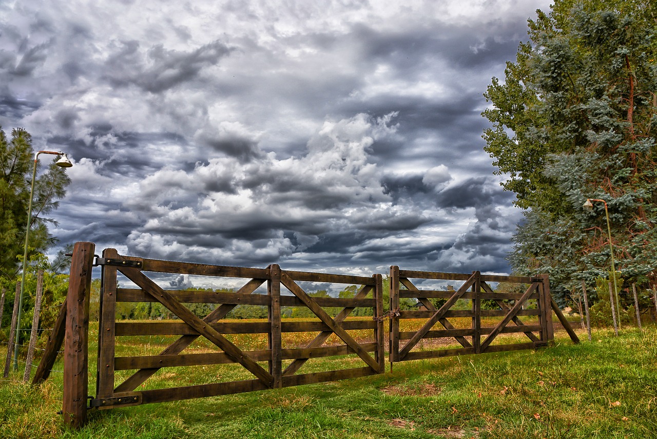 wood nature outdoors free photo