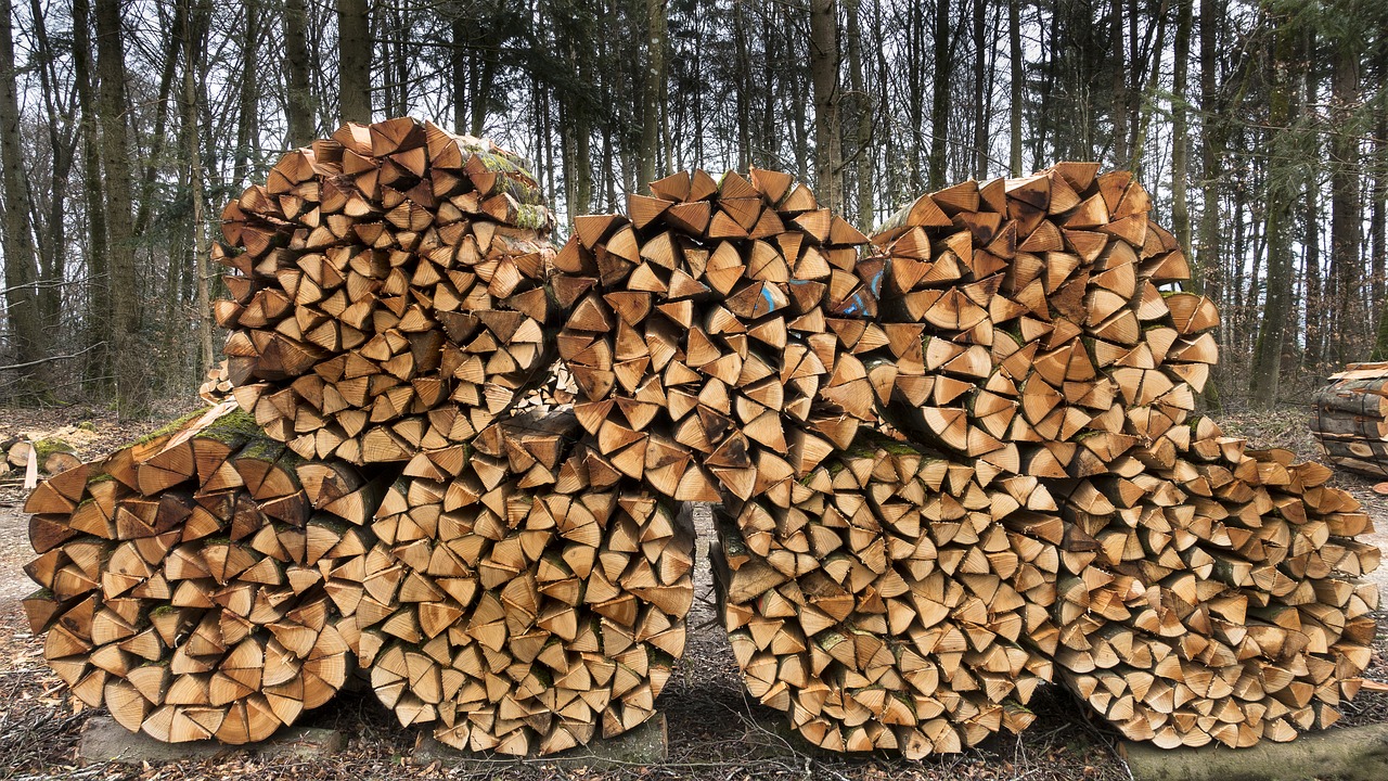 wood firewood holzstapel free photo