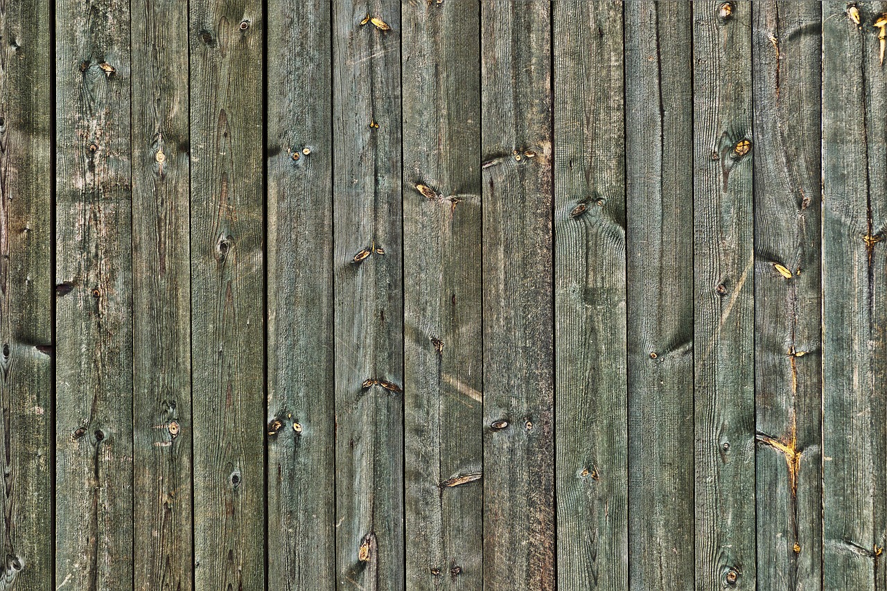 wood boards branches free photo