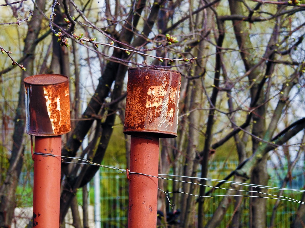 wood flame outdoors free photo