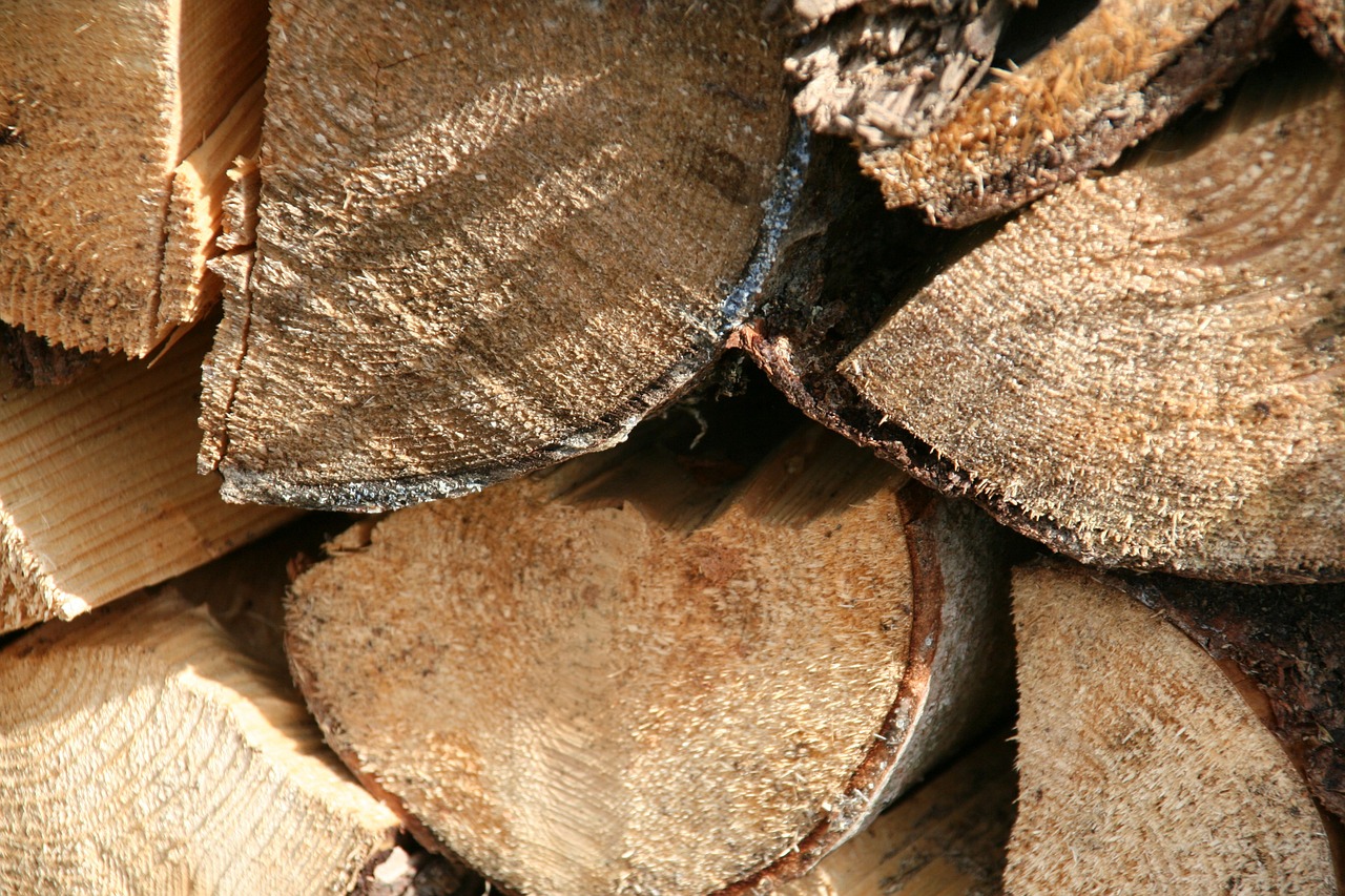 wood log firewood free photo