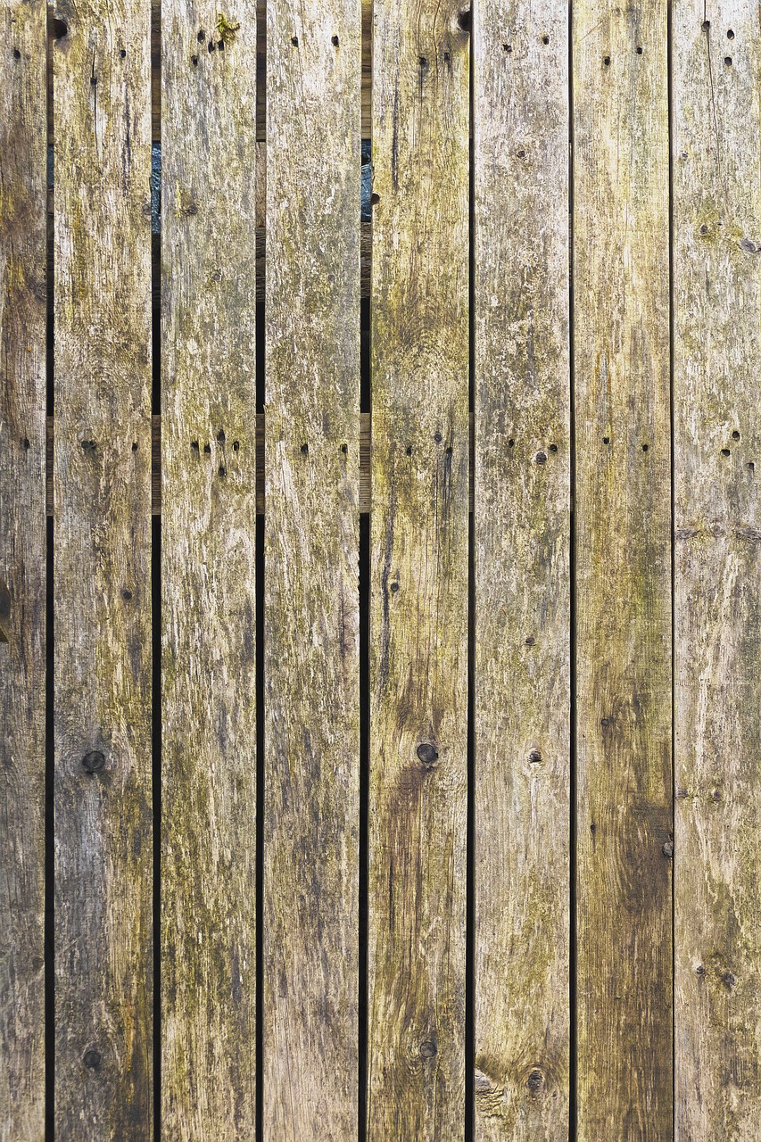 wood  boards  wooden wall free photo