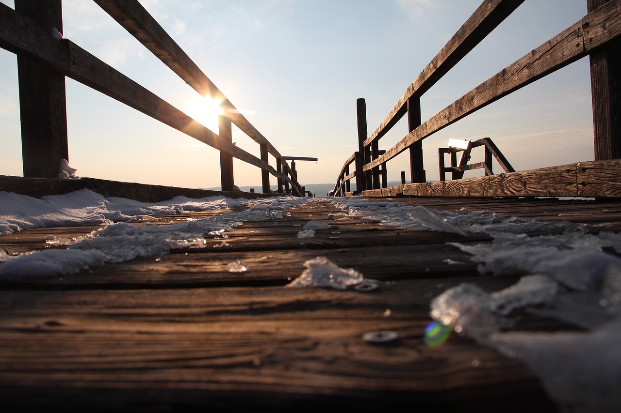 wood  sunset  nature free photo