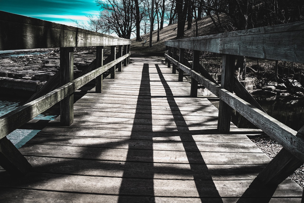 wood  bridge  outdoors free photo