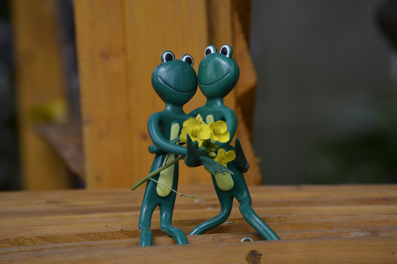wood  frog  lovers free photo