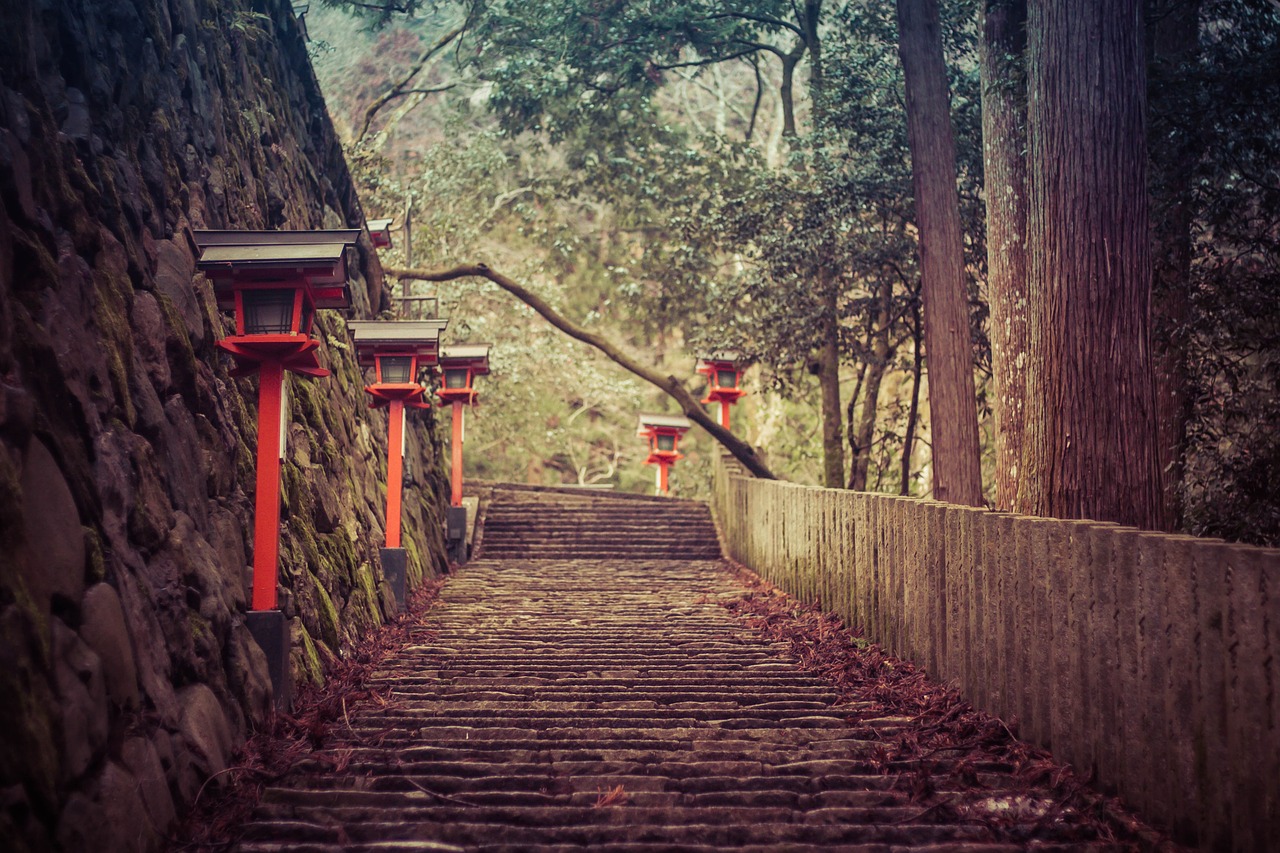 wood  travel  stairs free photo