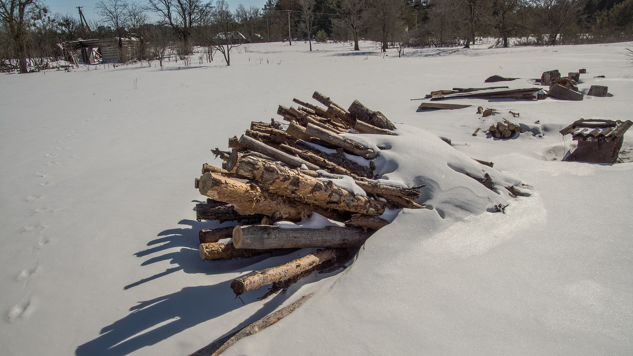 wood  pile  snow free photo