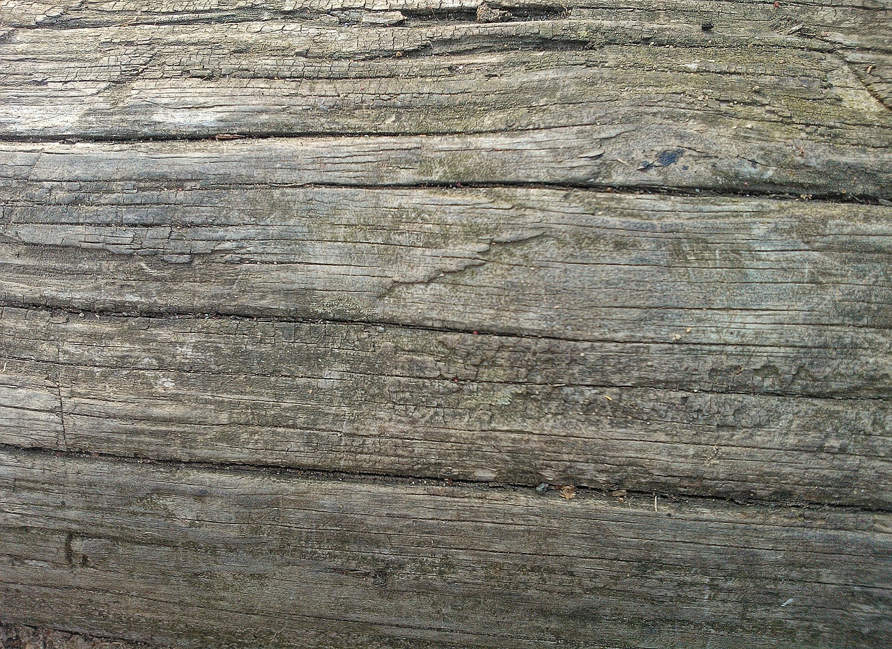 wood texture wooden free photo