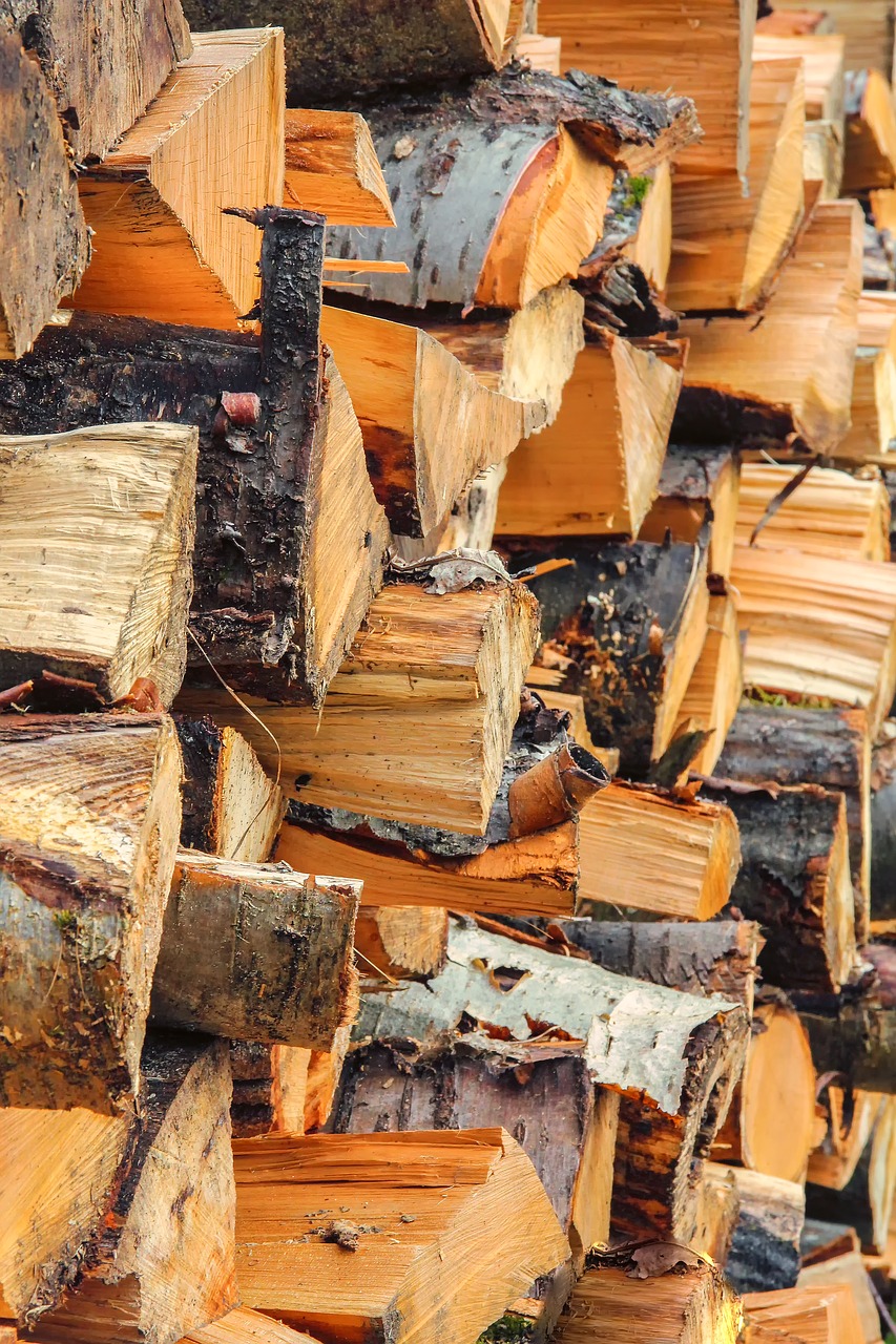 wood  log  lumber free photo