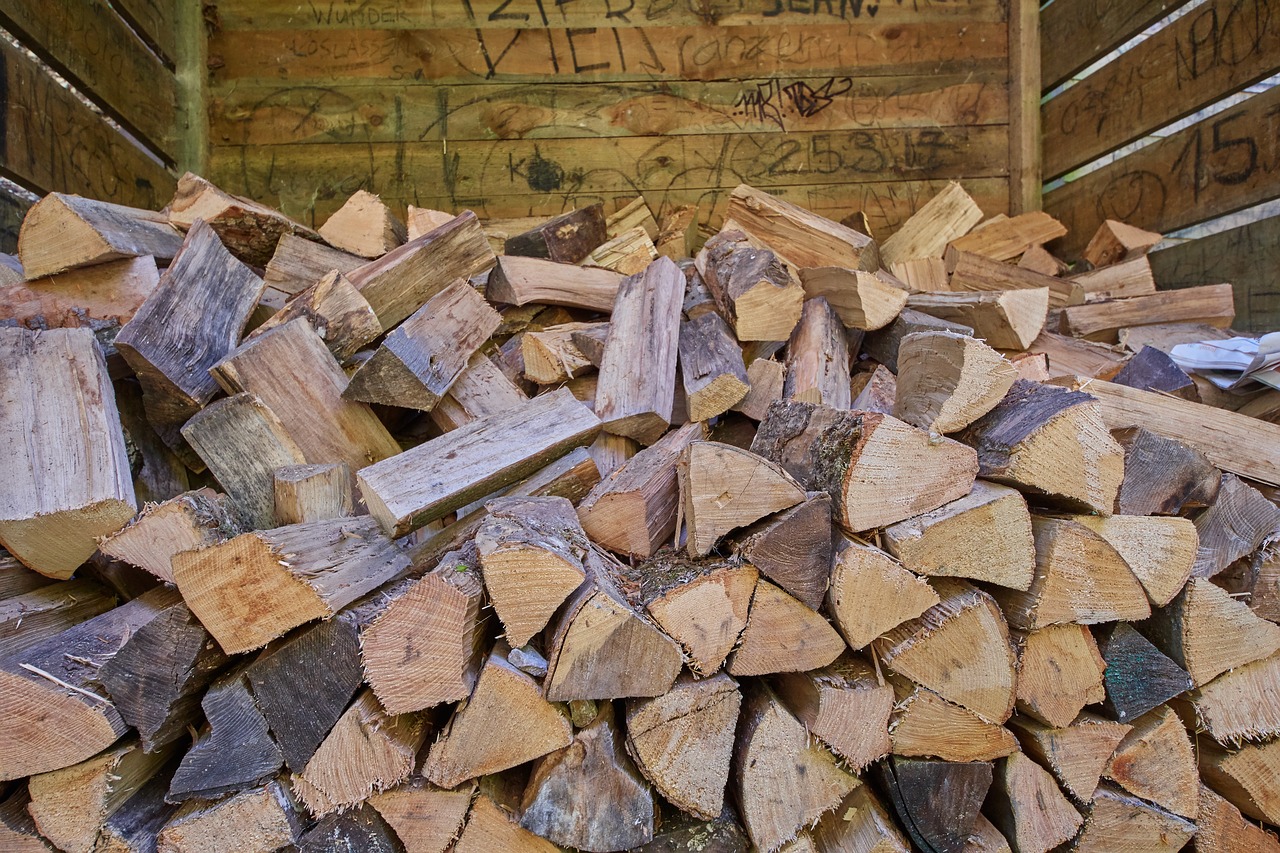 wood  firewood  grilling free photo