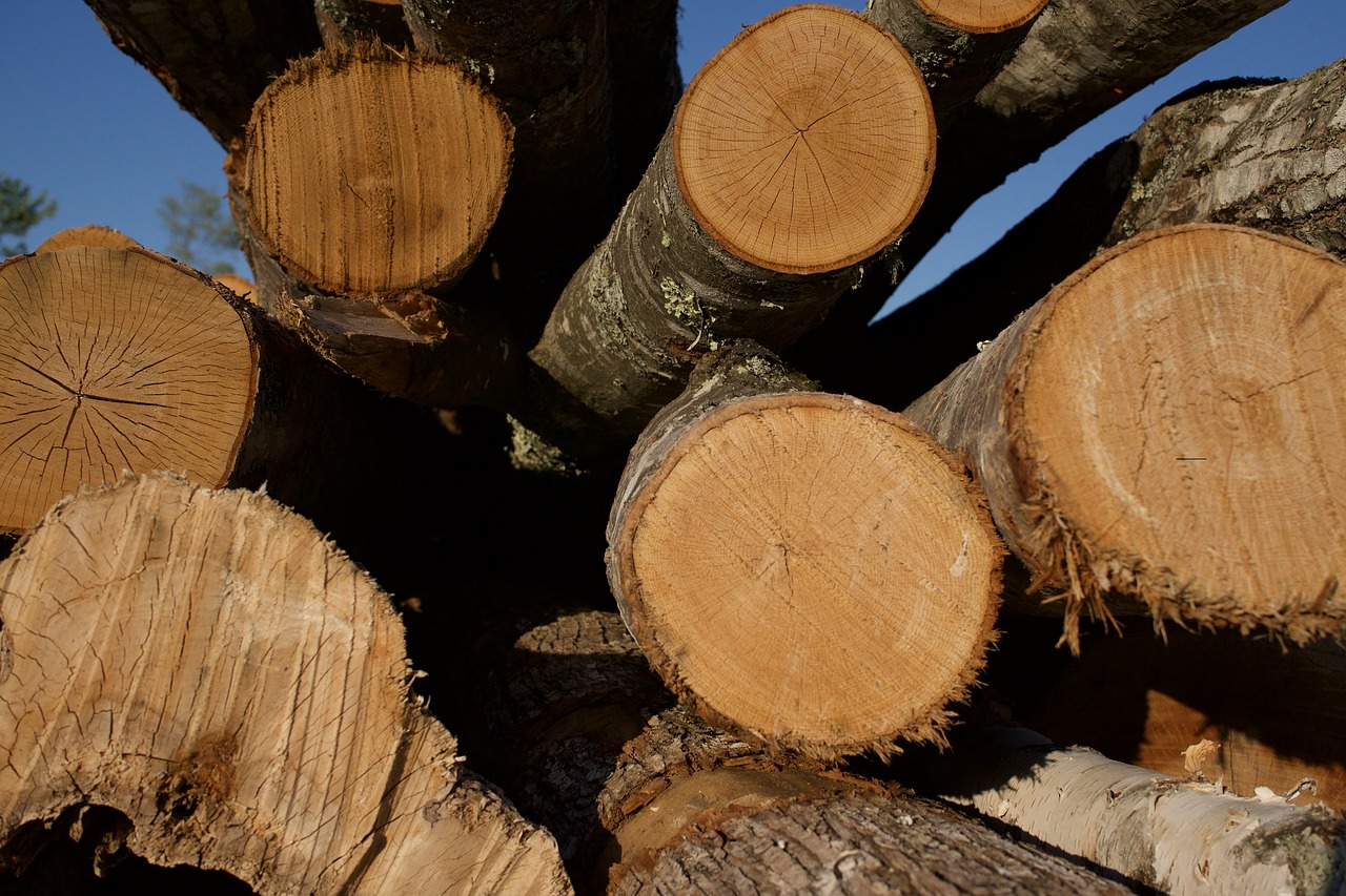 wood  lumber  logs free photo